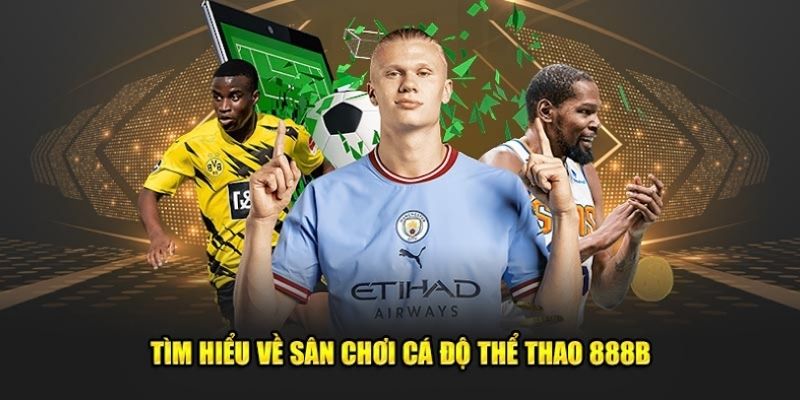 Thể thao 888B: Trang cược thể thao trực tuyến lý tưởng tại VN 2 Tổng quan về sảnh thể thao tại nhà cái trực tuyến 888B