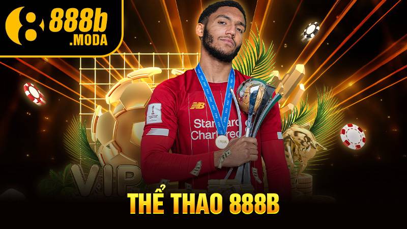 Thể thao 888B: Trang cược thể thao trực tuyến lý tưởng tại VN 1 Thể thao 888B
